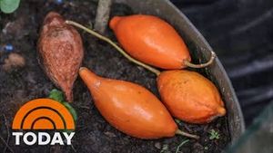 Video post by @today on YouTube
