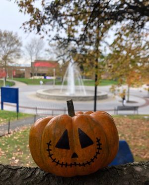 Image post by @stonybrooku on Instagram