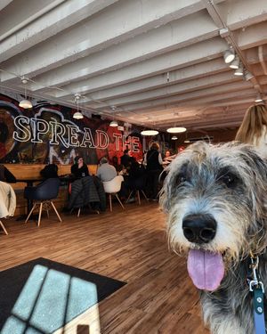 Image post by @thesavannahwolfhound on Instagram