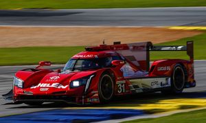 Image post by @pipoderani on Instagram