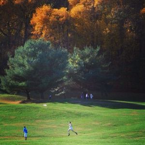 Image post by @hofstratrackxc on Instagram