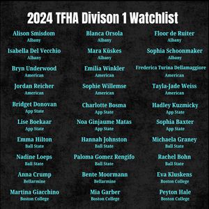 Image post by @thefhockeyanalyst on Instagram