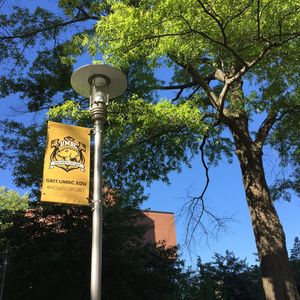Image post by @umbclife on Instagram