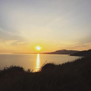 Image post by @alexxanderbjork on Instagram