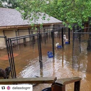 Image post by @melanielynnen on Instagram