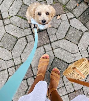 Image post by @dsw on Instagram