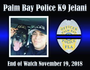 Image post by @palmbaypd on Instagram
