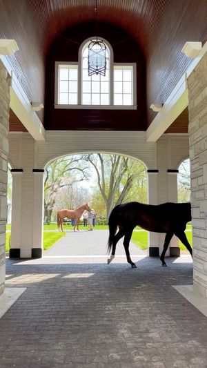 Video post by @spendthriftfarm on Instagram