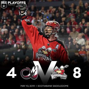 Image post by @nll on Instagram