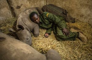 Image post by @natgeo on Instagram