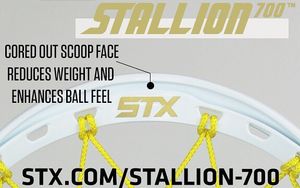 Image post by @stxmlax on Instagram
