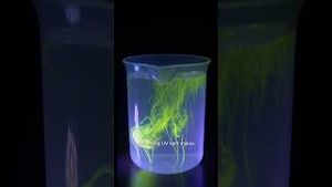Video post by @kiwico on YouTube