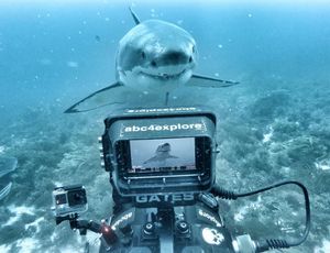 Image post by @reddigitalcinema on Instagram