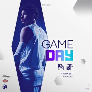 Image post by @hornets on Instagram
