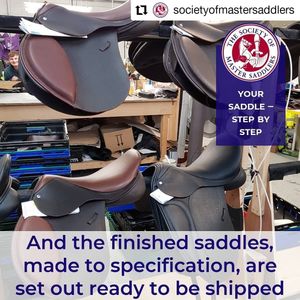 Image post by @performancesaddlefitssthsydney on Instagram