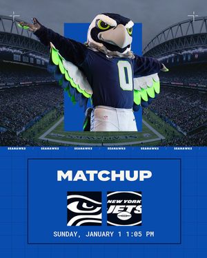 Image post by @blitztheseahawk on Instagram