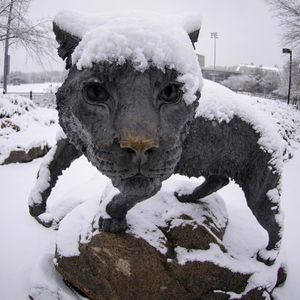Image post by @uofnh on Instagram