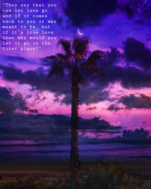 Image post by @huemanelement on Instagram