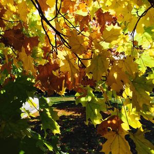 Image post by @visitoverlandpark on Instagram
