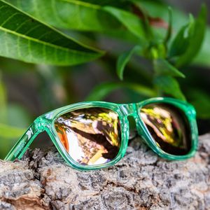 Image post by @knockaround on Instagram