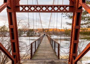 Image post by @themainemag on Instagram