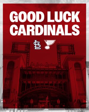 Image post by @StLouisBlues on Twitter/X