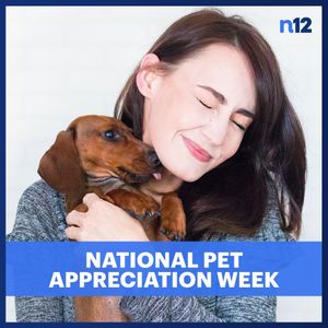 Image post by @news12li on Instagram