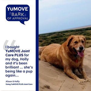 Image post by @yumove_usa on Instagram