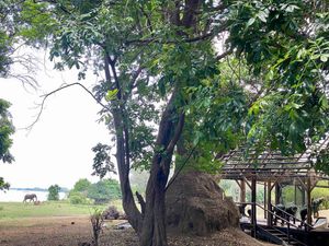 Image post by @chiawasafaris on Instagram