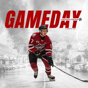 Image post by @guelph_storm_ohl on Instagram