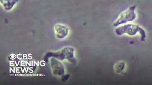 Video post by @cbseveningnews on YouTube