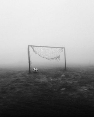 Image post by @fubiz on Instagram