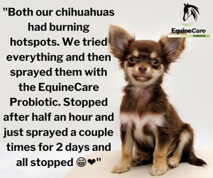 Image post by @equinecareprobiotic on Instagram