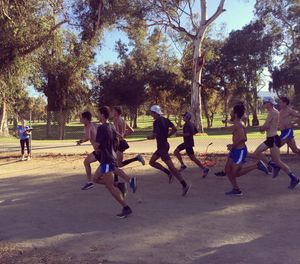Image post by @uclaxc on Instagram