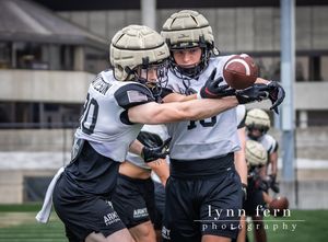 Image post by @lynnfernphotography on Instagram