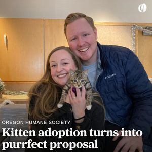 Image post by @theoregonian on Instagram