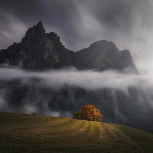 Image post by @sonyalpha on Instagram
