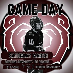 Image post by @d3mostateicebears on Instagram
