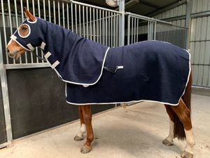 Image post by @snaffle_it on Instagram