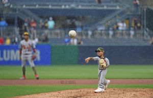 Image post by @mlb.mini on Instagram