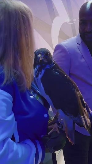 Video post by @nflonprime on TikTok