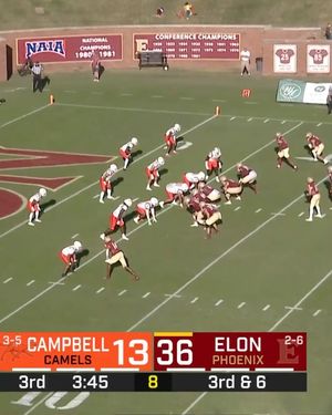 Image post by @elonfb on Instagram