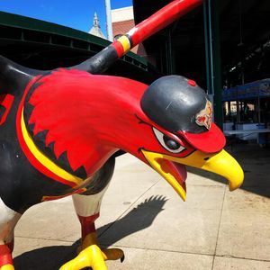 Image post by @rocredwings on Instagram