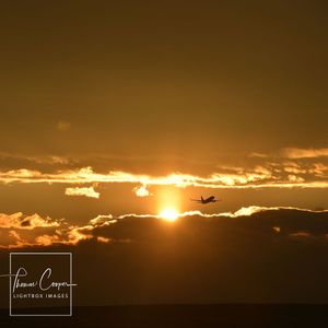 Image post by @lightboximages on Instagram