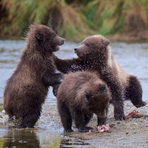 Image post by @discovery on Instagram