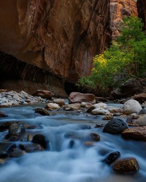 Image post by @nationalparkscollective on Instagram