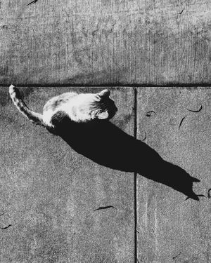 Image post by @fubiz on Instagram