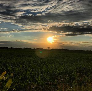 Image post by @lifesadiscoball on Instagram