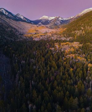 Image post by @nauflagstaff on Instagram