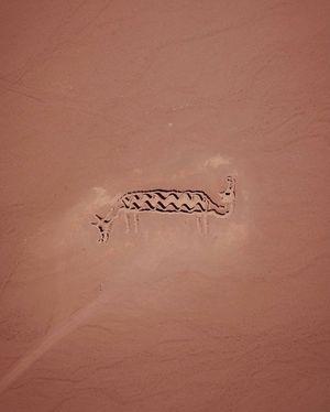 Image post by @dronepals on Instagram